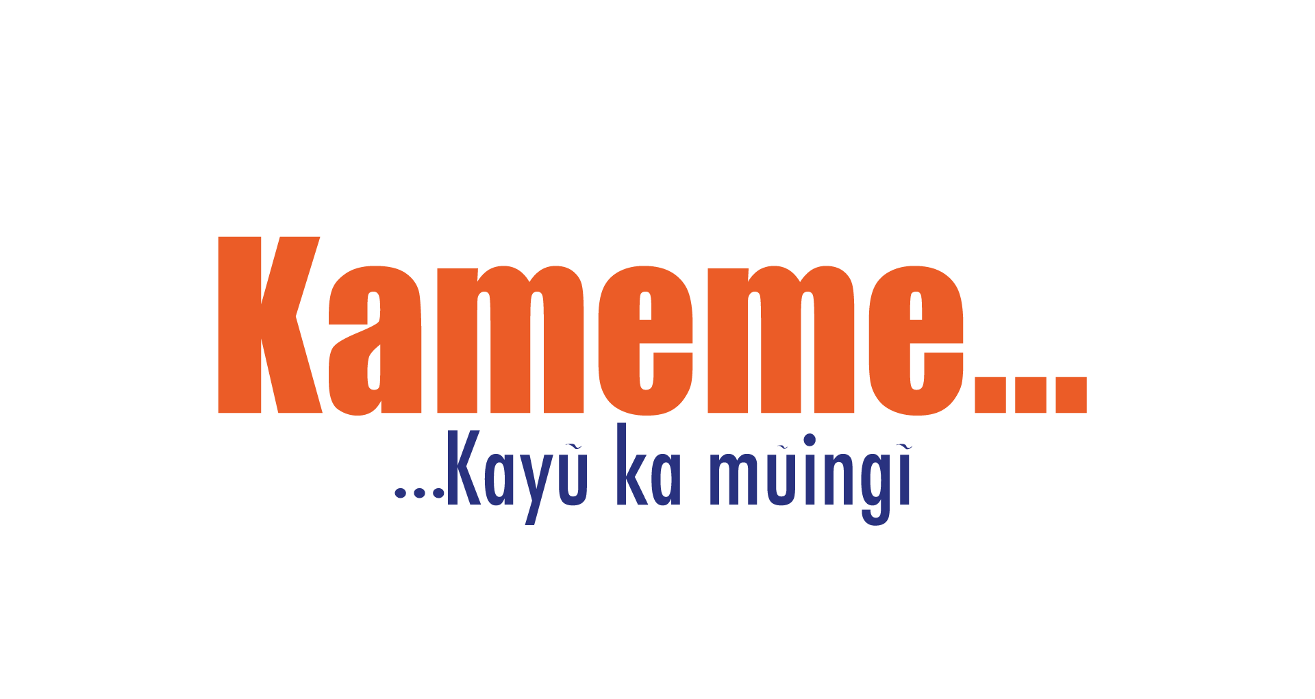 Logo de la station de radio Kameme FM