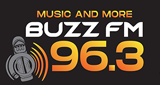 Logo of 96 Buzz FM radio station