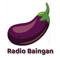 Logo of radiobaingan radio station